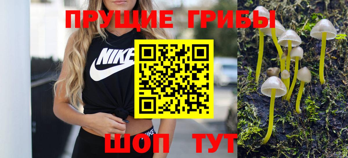 Шахты  Галлюциногенные грибы мицелий  Вход с VPN 