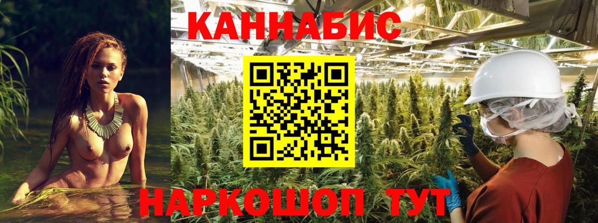 Бошки марихуана тримм  МАРИХУАНА гибрид  Шахты  Бошки Шишки марихуана  Вход с VPN  МАРИХУАНА индика 